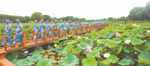 洪湖:革命老区与梦里水乡的百年嬗变