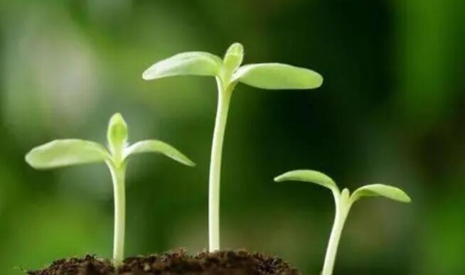 爱的搬运工给更多孩子带去希望